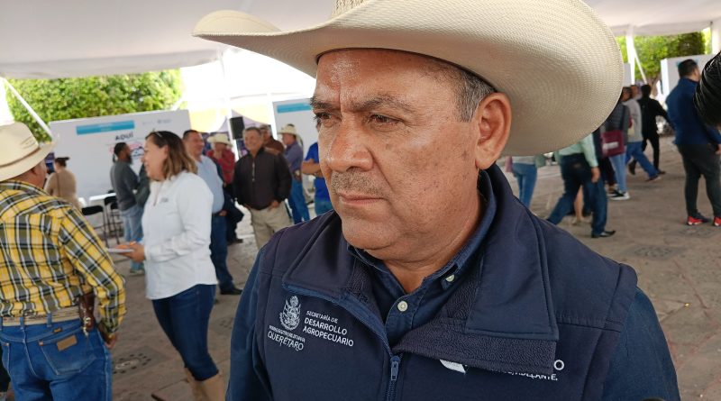 Combate integral del gusano barrenador en Querétaro