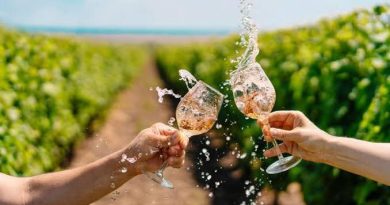 Recibe Querétaro a 24 millones de turistas en 2025