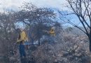 Refuerzan medidas preventivas contra incendios forestales