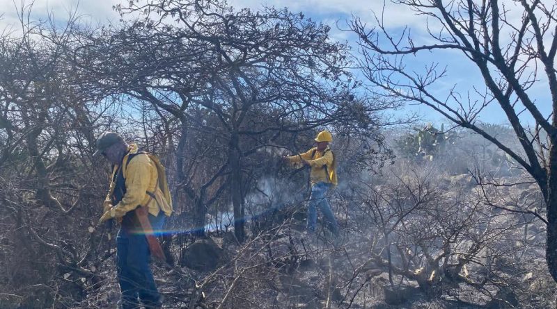 Refuerzan medidas preventivas contra incendios forestales