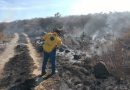 Refuerzan brigadas forestales para prevenir incendios en el estado