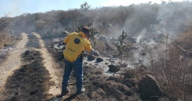 Refuerzan brigadas forestales para prevenir incendios en el estado