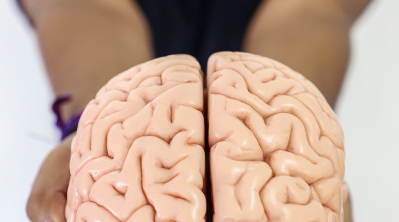Transforma UAQ la práctica docente mediante las neurociencias